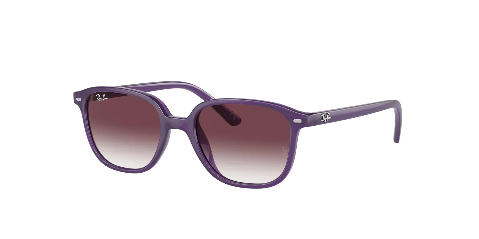 Ray-Ban Kids Leonard Jr 0RJ9093S Sunglasses - view 8